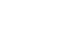 Logo Vidaron